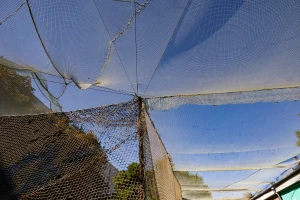 Антидронова сітка