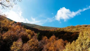 Осінь в Карпатах