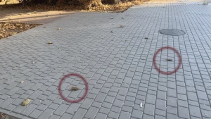 Міни "пелюстка" у Херсоні