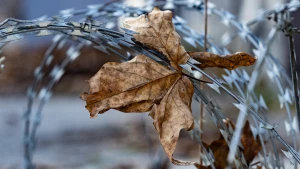 погода, осінь