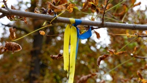 Жовто-блакитні стрічки у Херсоні. Фото: Олександр Андрющенко/Вгору