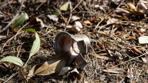 Касетні-боєприпаси