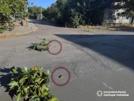 "Пелюстки", які розкидали війська РФ у Херсоні 