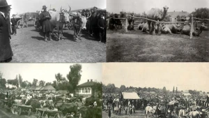 лекція Ярмарки Херсонщини