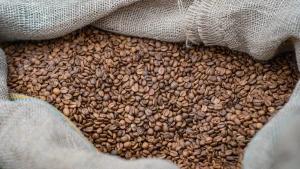 Кава у зерна