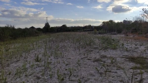 Каховське водосховище