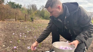 Павло Булгаков