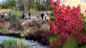Толока екоактивістів на річці Суха/Бузок "Палаюча Москва"