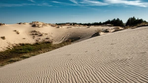 Олешківські піски. Фото до повномасштабного вторген