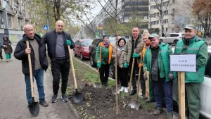 Висадження дерев