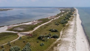 Кінбурнська коса