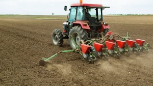 Зображення ілюстративне. Canva