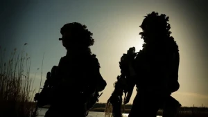 Сили оборони Півдня України