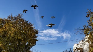 Небо у Херсоні