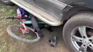 Скриншот з фейкового відео