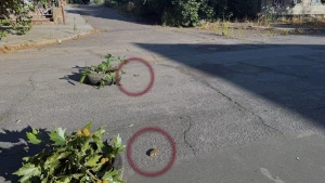 "Пелюстки", які розкидали війська РФ у Херсоні