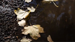 Осінь у Херсоні