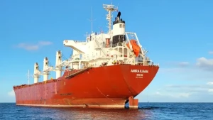 Судно Matros Koshka