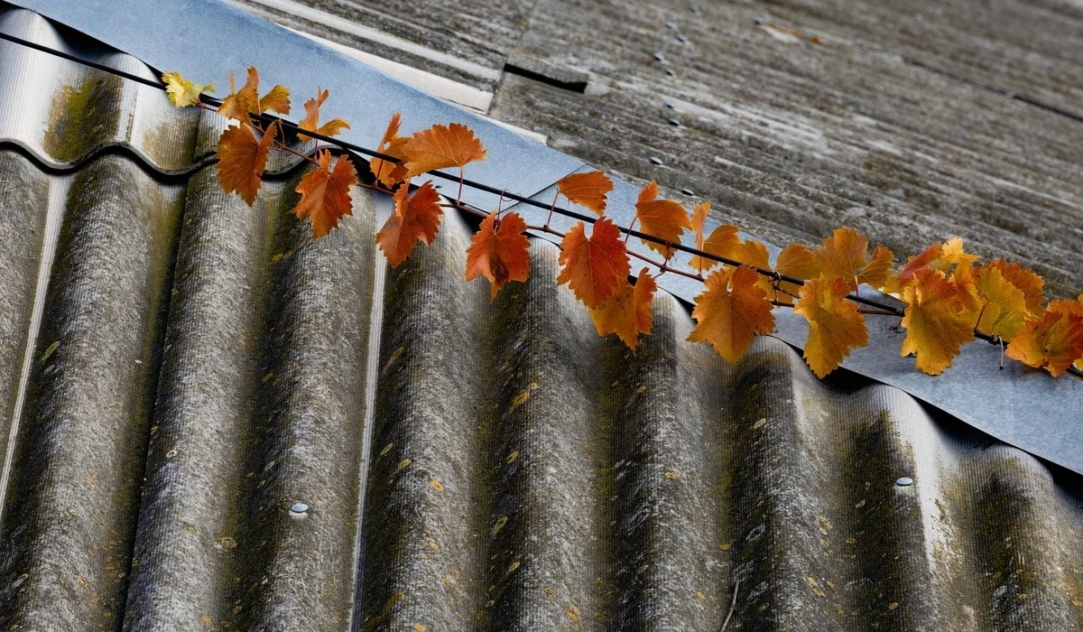 Херсон у листопаді 2025 року