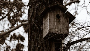 Фото: Олександр Андрющенко/Вгору