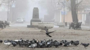 погода, туман 