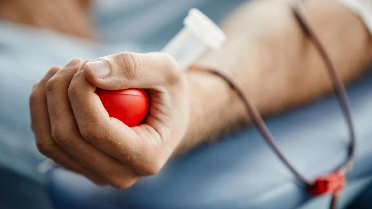 Донеорство