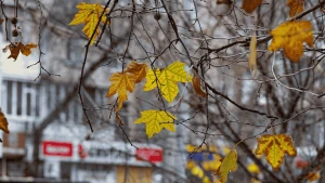 Херсон у листопаді 2025 року