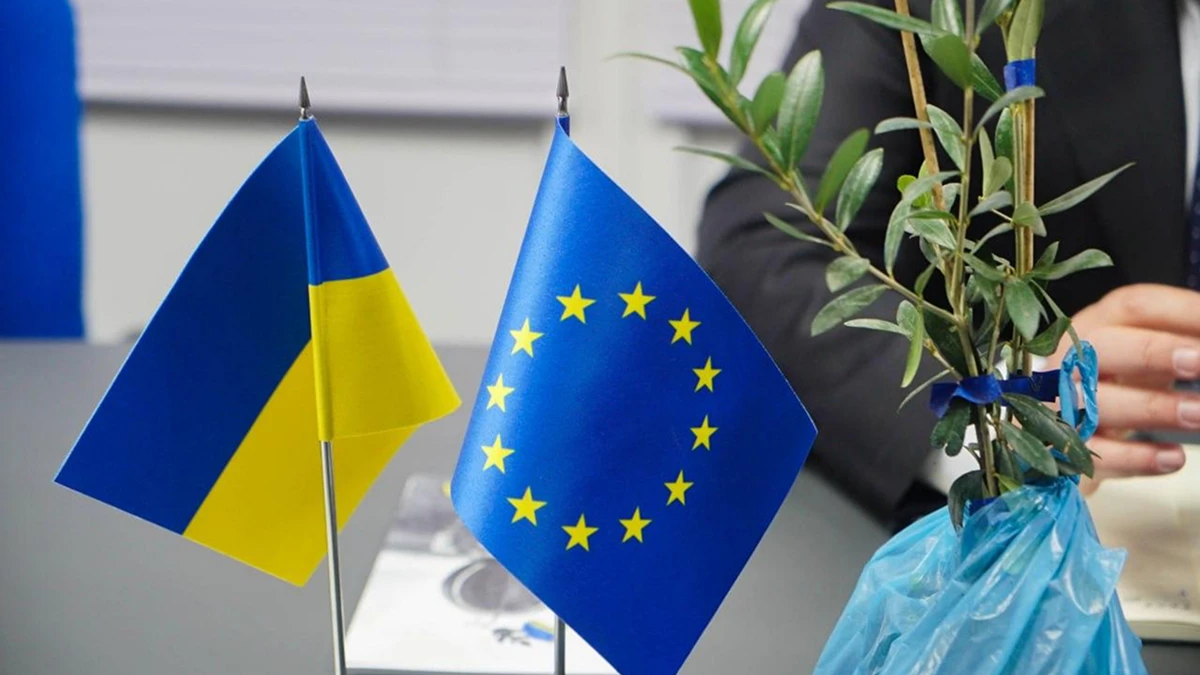 Оливкові дерева