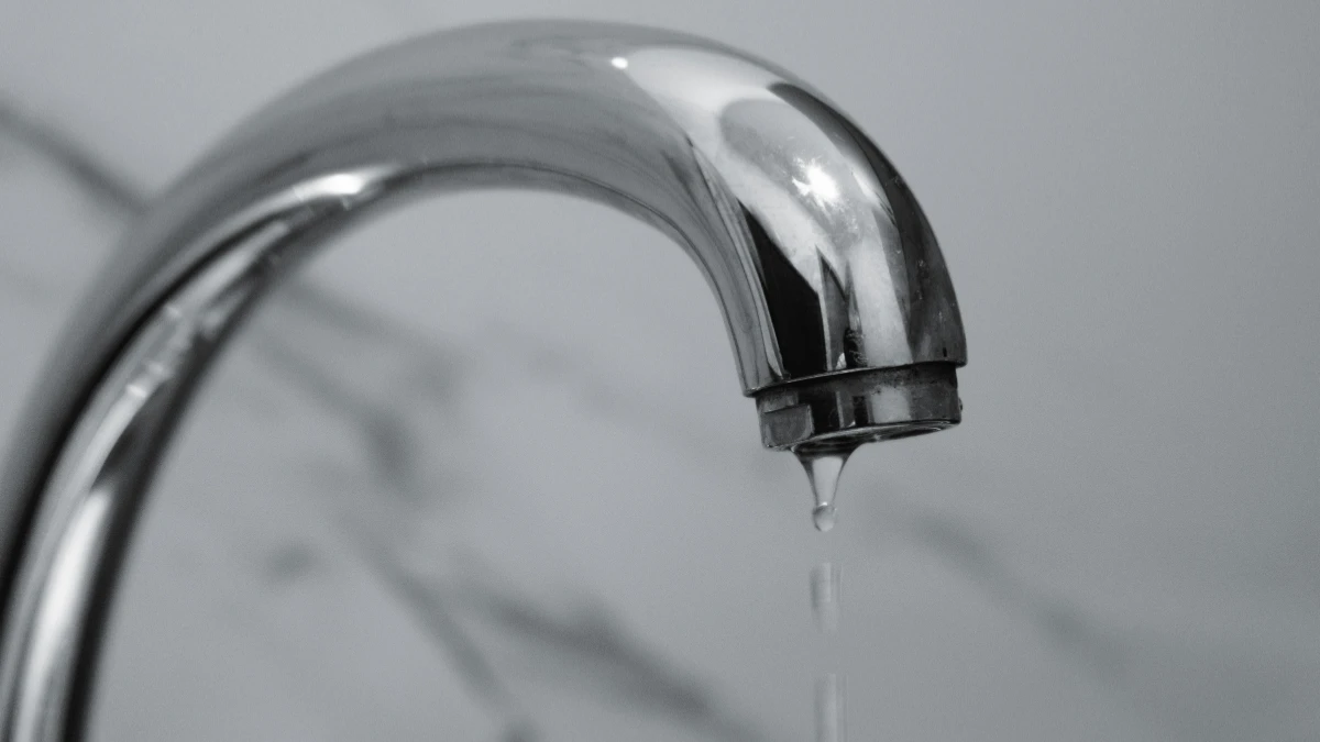 Зображення ілюстративне. Canva