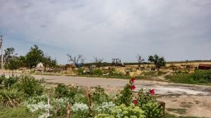 ремонт доріг