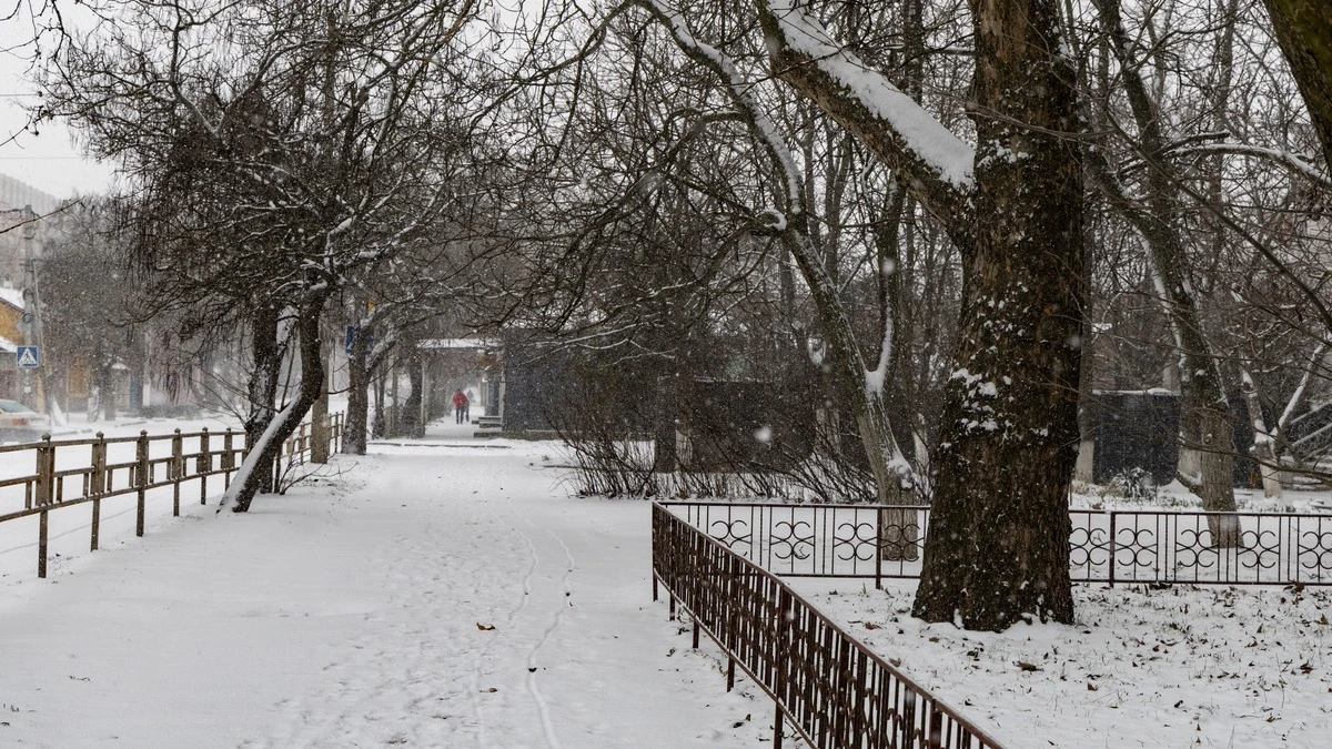 Сніг у Херсоні 