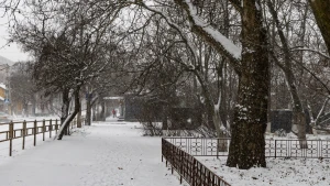 Сніг у Херсоні. : Олександр Андрющенко/"Вгору"