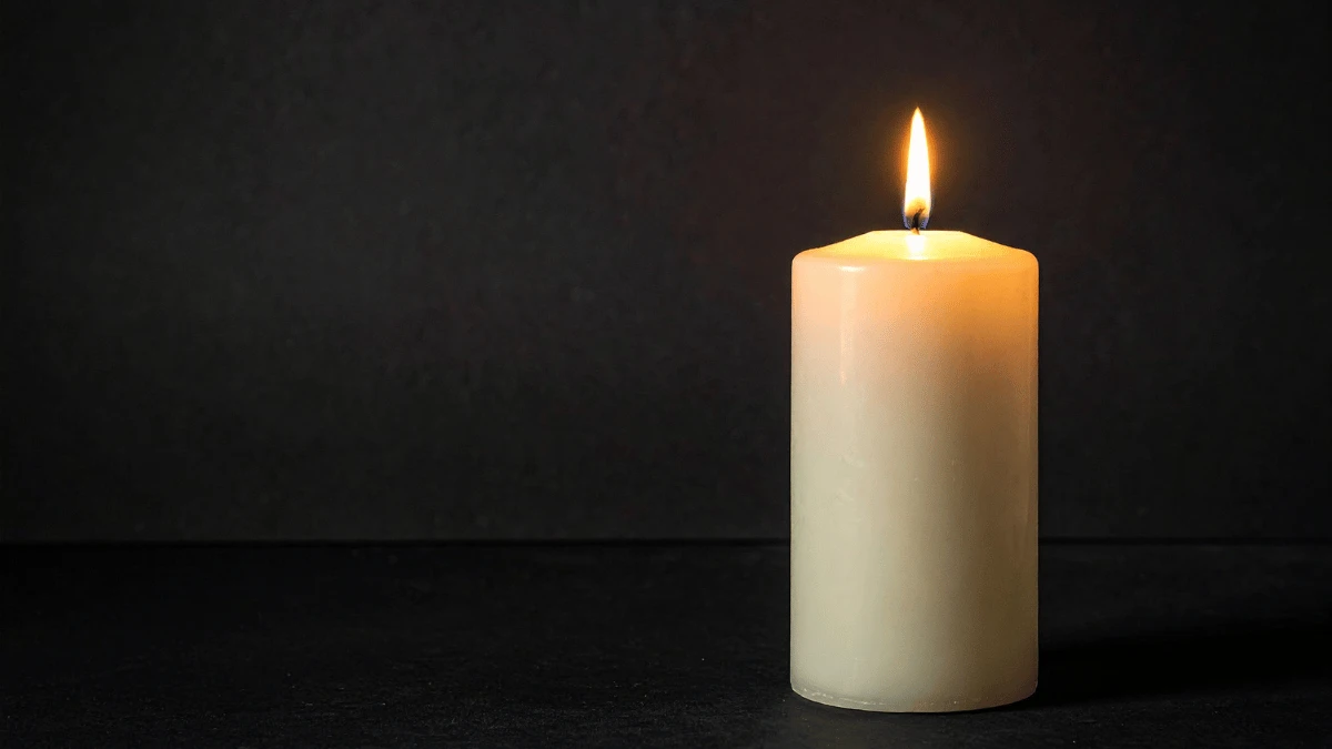 Зображення ілюстративне. Canva