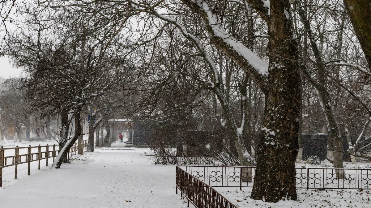 Фото Олександра Андрющенка/"Вгору"