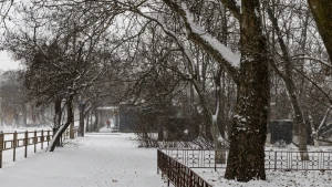 Фото Олександра Андрющенка/"Вгору"