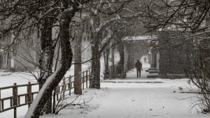 Фото: Олександр Андрющенко/"Вгору"