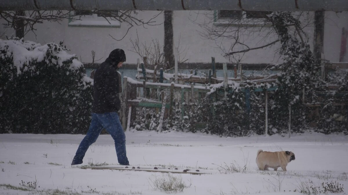 Сніг у Херсоні 