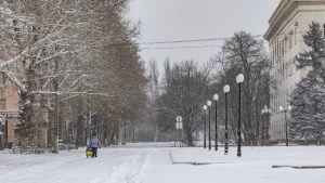 Снігопад у Херсоні. Усі фото у матеріалі Олександра Андрющенка / "Вгору"