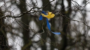 стрічка на дереві