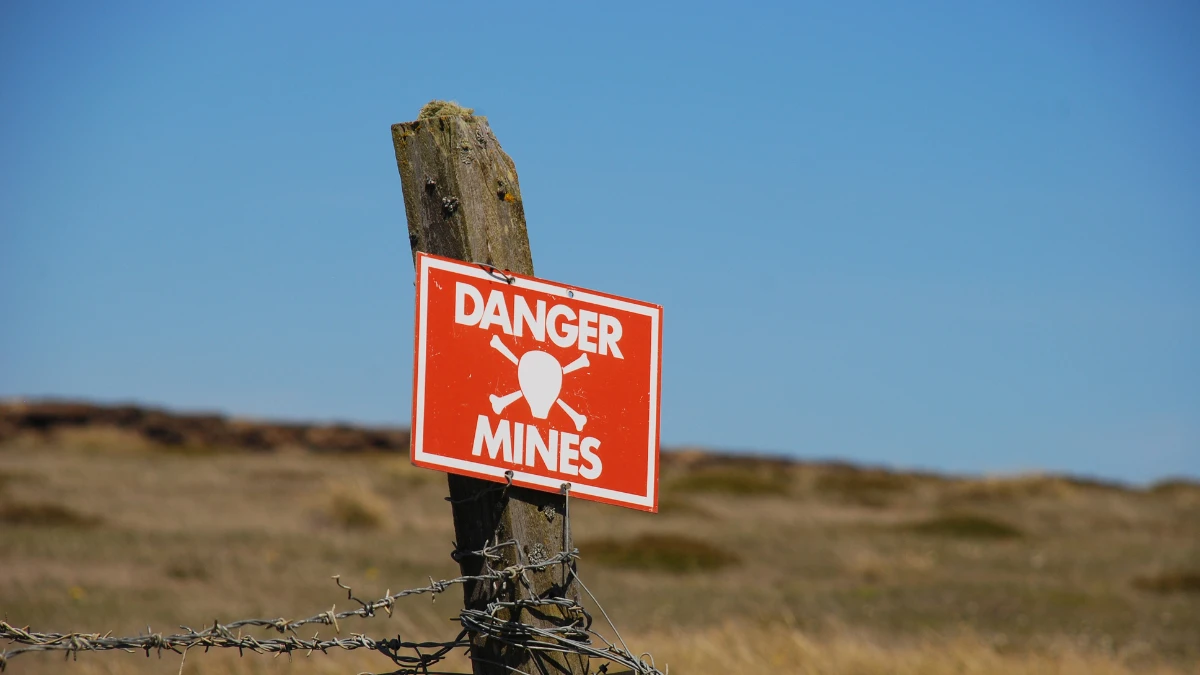 Зображення ілюстративне. Canva