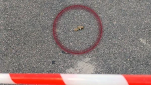 Дистанційне мінування території медзакладу в Херсоні