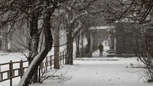 Сніг у Херсоні