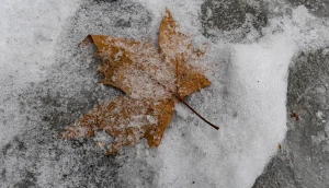Січень у Херсоні
