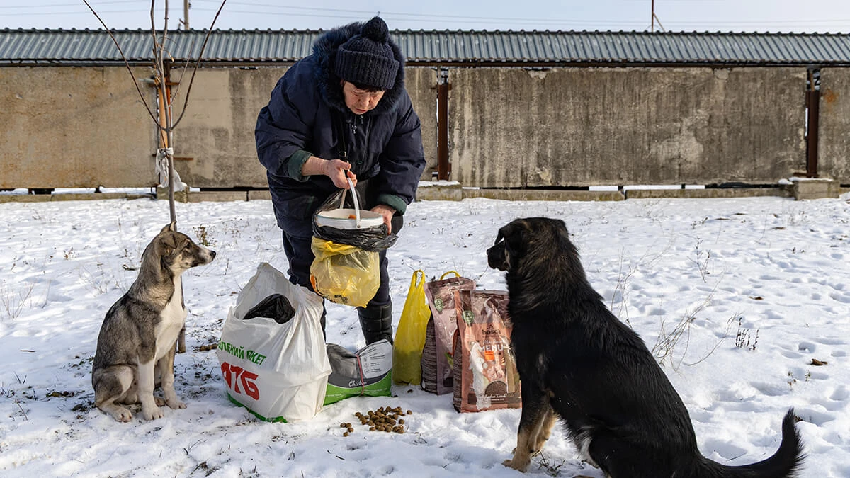  Херсонка Валентина годує собак у своєму районі 