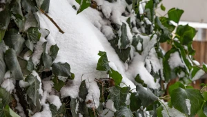 Фото: Олександр Андрющенко/"Вгору"