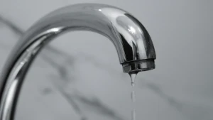 Зображення ілюстративне. Canva