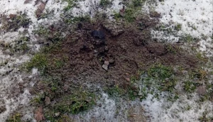 нерозірвані боєприпаси