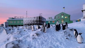 Станція "Академік Вернадський". Фото: сторінка Національного антарктичного центру 