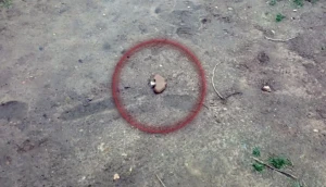 Фото: Нацполіція