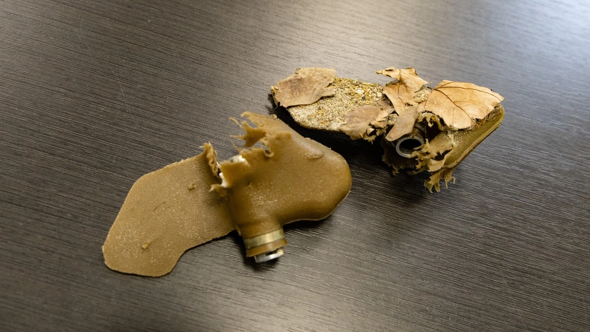 Міни типу “пелюстка”